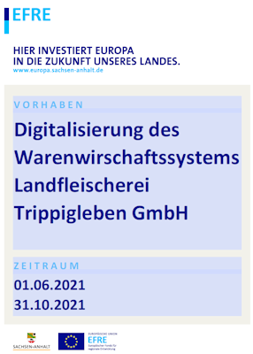 Förderung Digitalisierung Sachsen-Anhalt